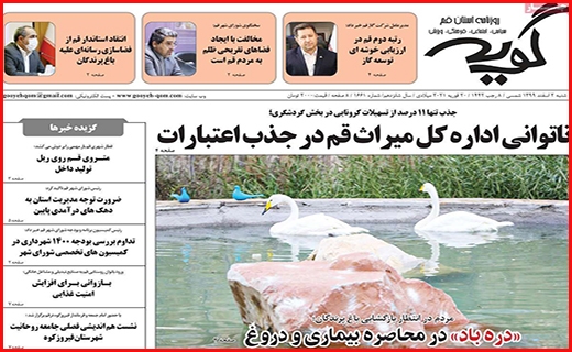 گویه