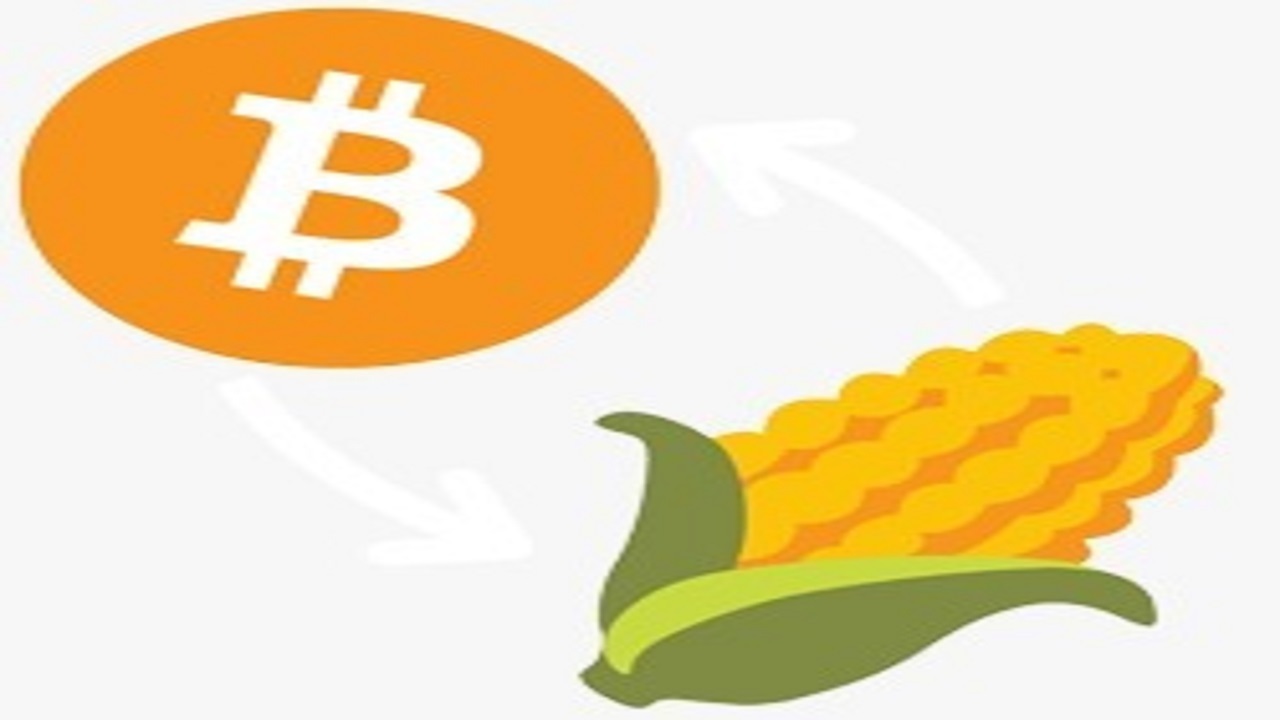 فروش "بیت کورن" یک دلاری؛ کلاهبرداری این روز‌های بازار ارز دیجیتال!