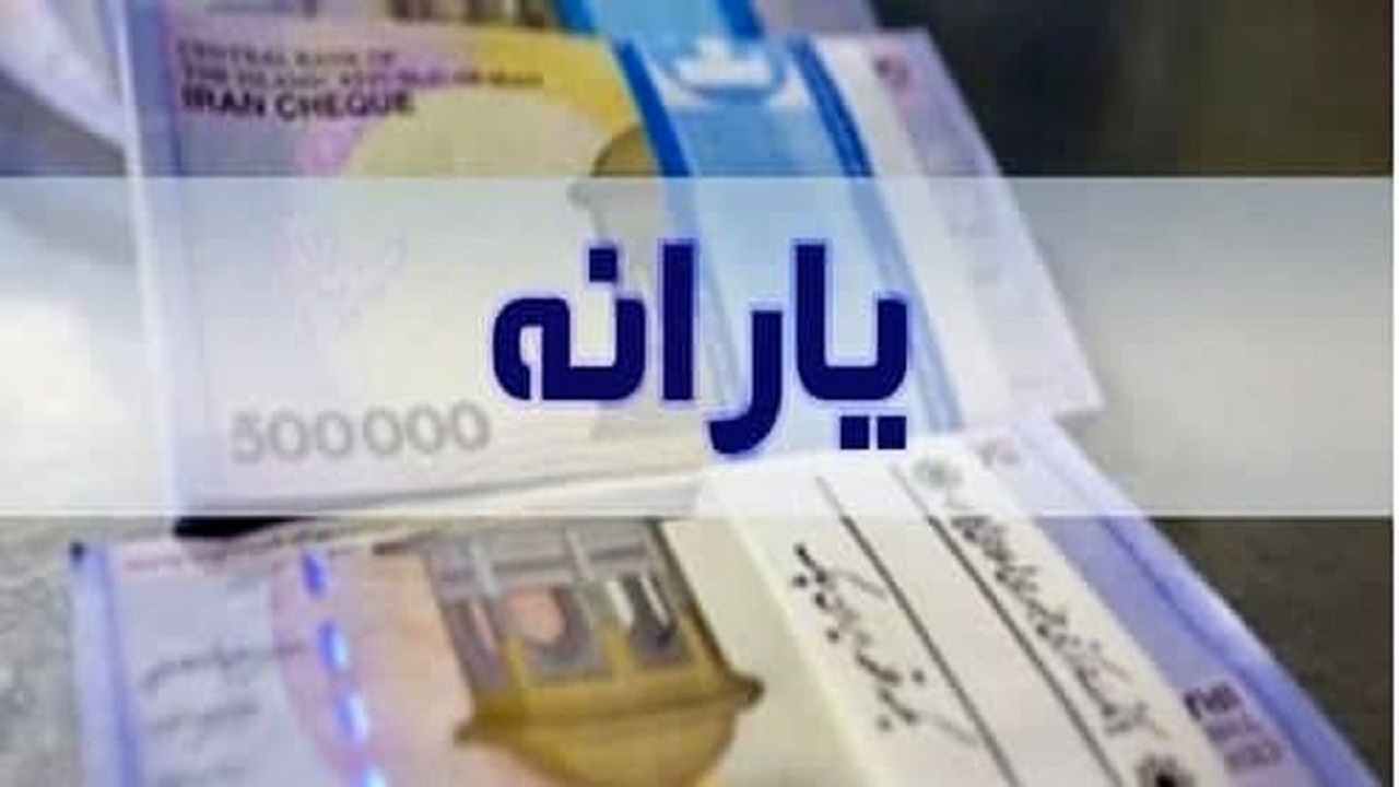 اختصاص یارانه ارزان، متناقض با سیاست‌های توسعه‌ای کشور