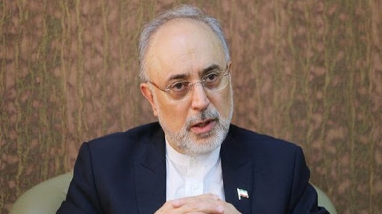 توضیحات صالحی درباره چرایی سفر گروسی به تهران