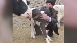 اتفاق غیرمنتظره روی آنتن زنده شبکه ورزشی + فیلم