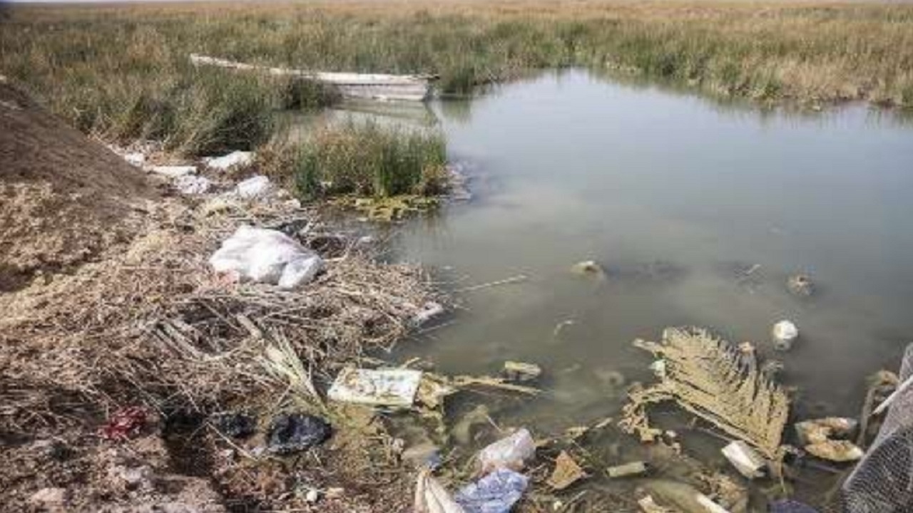 کرانه های تالاب شادگان در تسخیر زباله
