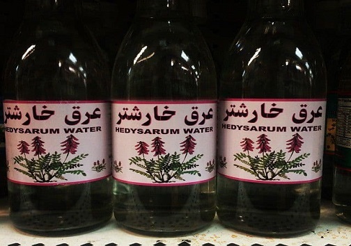 ظرفیتی بکر که پشت ویترین عطاری&zwnj;ها خاک می&zwnj;خورد/سرنوشت لاکچری خارشتر در آن سوی مرز&zwnj;ها