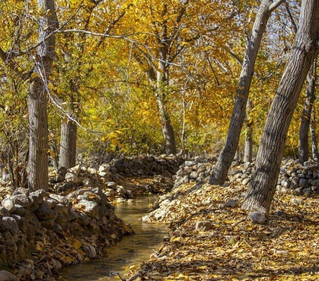 حصار گلستان؛ طبیعتی به یادماندنی