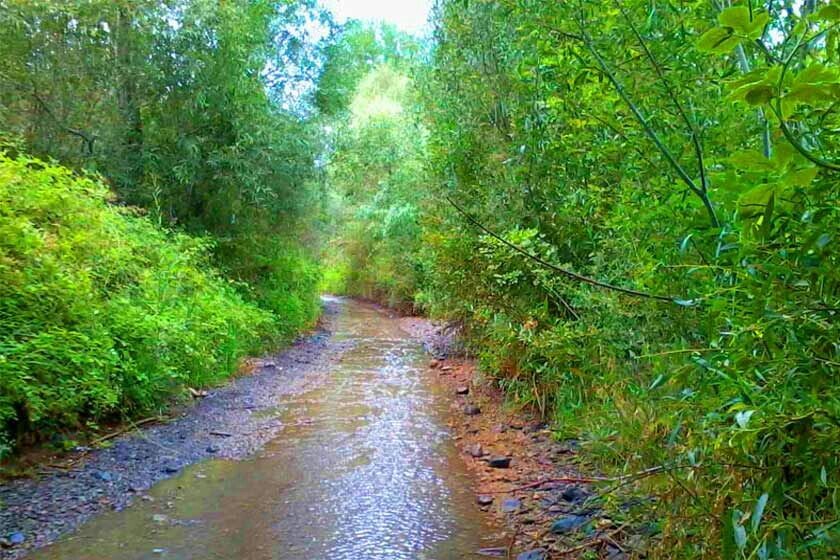 حصار گلستان؛ طبیعتی به یادماندنی