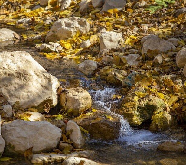 حصار گلستان؛ طبیعتی به یادماندنی