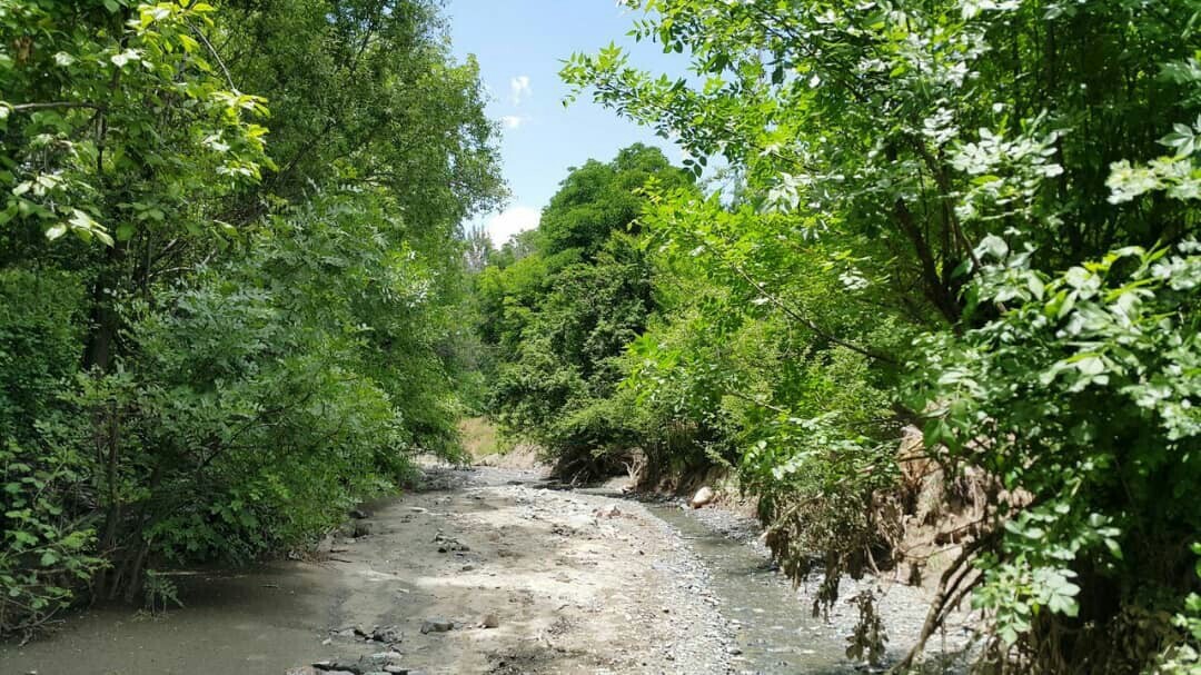 حصار گلستان؛ طبیعتی به یادماندنی