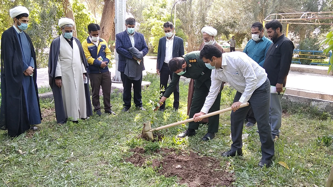 ایجاد نارنجستان در شهداد