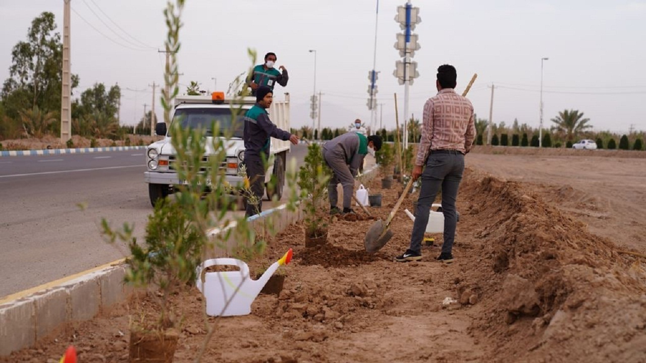 نهال کاری جمعی از شهروندان بافقی