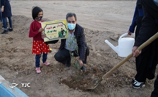 نهال کاری جمعی از شهروندان بافقی