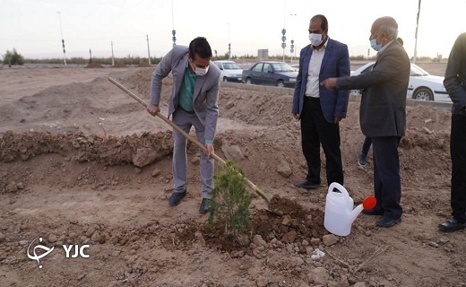نهال کاری جمعی از شهروندان بافقی