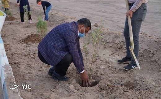 نهال کاری جمعی از شهروندان بافقی