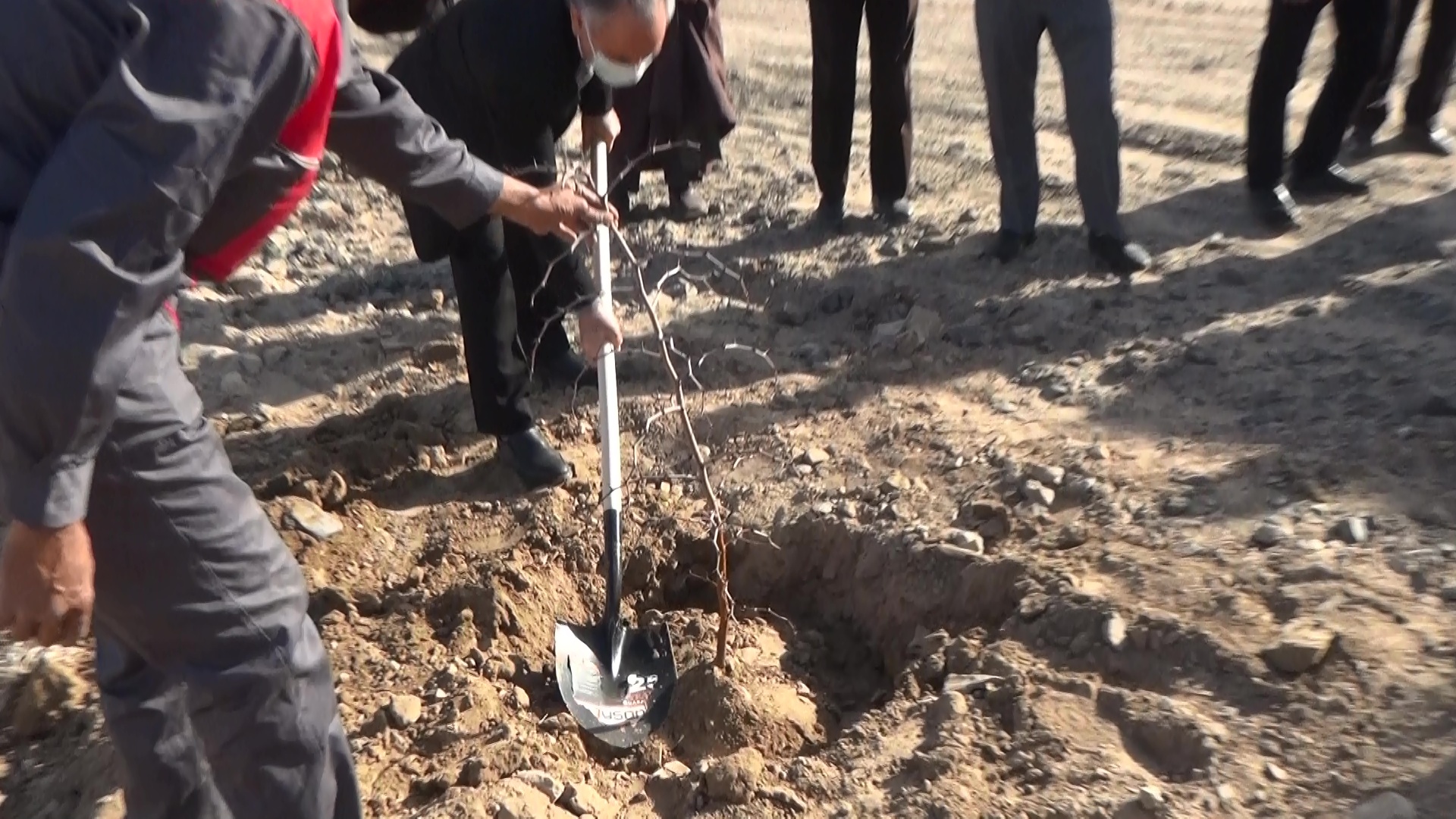 کاشت ۱۵هزار و ۸۰۰ اصله نهال در دانشکده کشاورزی دانشگاه بیرجند
