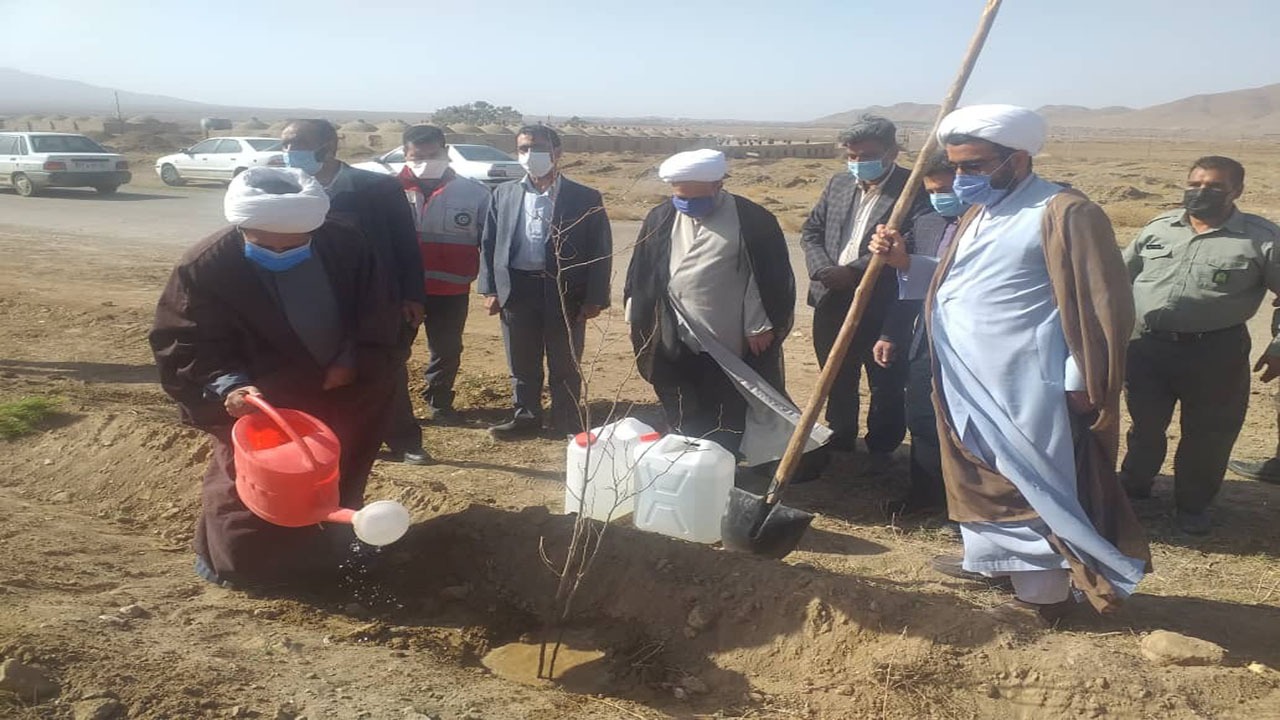 کاشت درخت در کوهبنان