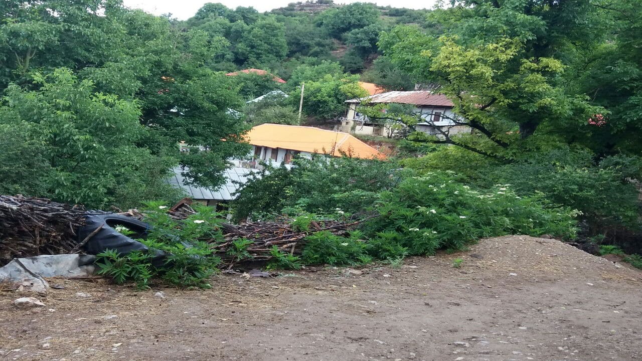 تصاویری از طبیعت بهاری در روستای آغوزگله