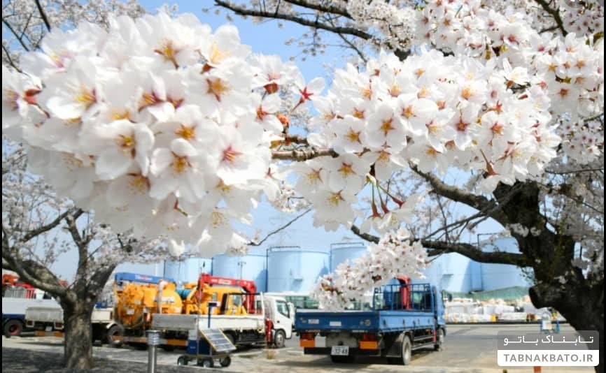 چطور ژاپنی&zwnj;ها از پس پاکسازی فوکوشیما بعد از حوادث اتمی برآمدند؟
