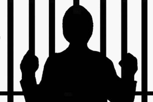جنایتکاران احمق در جهان + عکس