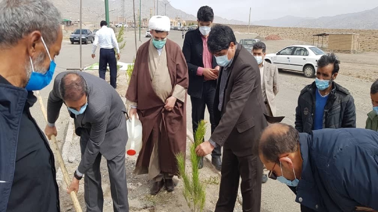 غرس نهال در زادگاه حاج قاسم