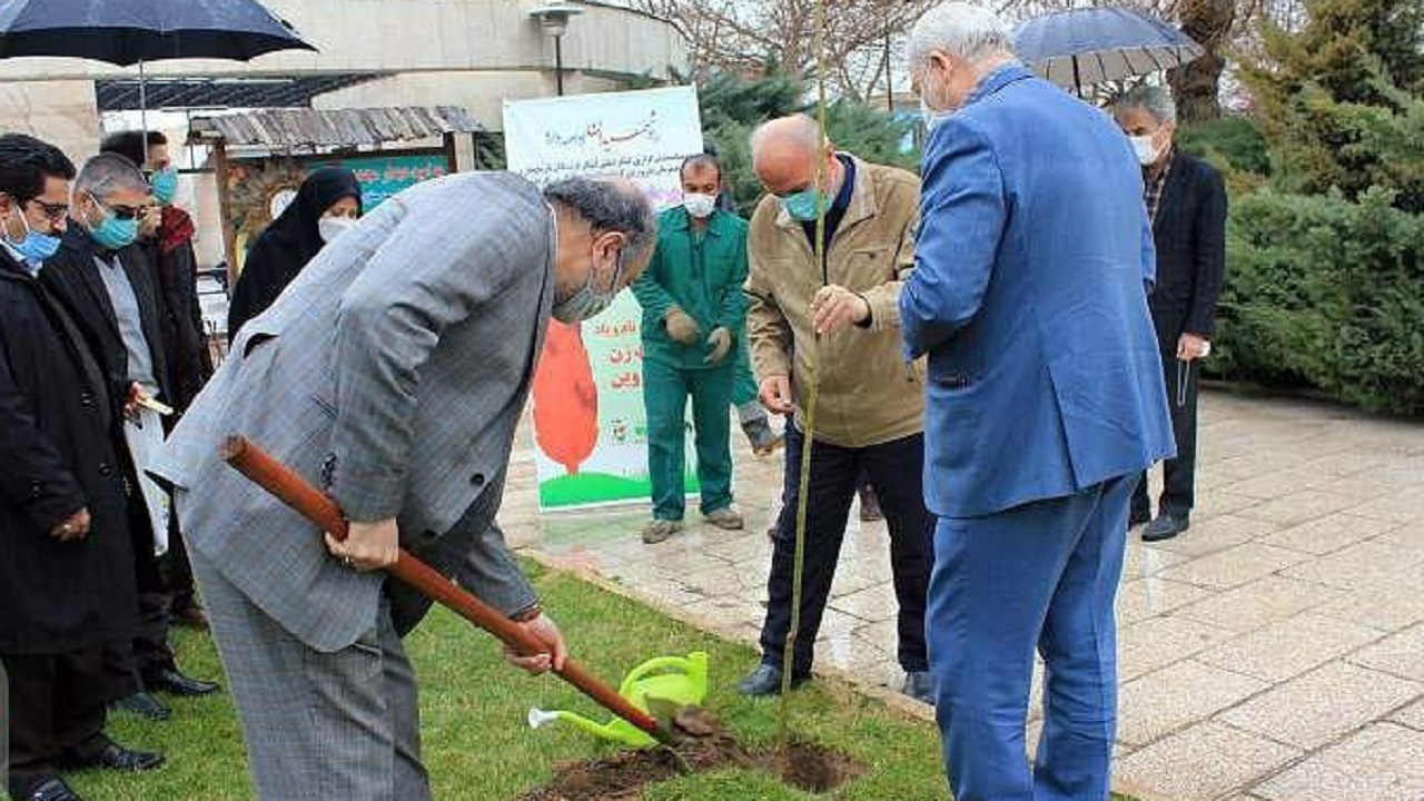 غرس نهال به یاد ۱۷ شهید زن استان قزوین