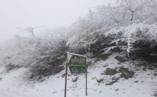 بارش برف در نواحی مستعد گیلان + تصاویر