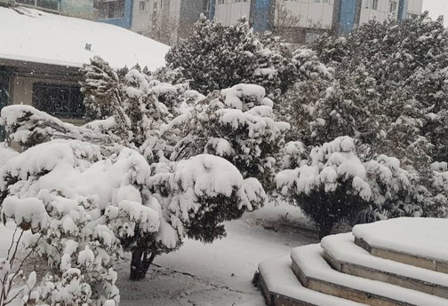 بارش برف در خراسان شمالی+تصاویر