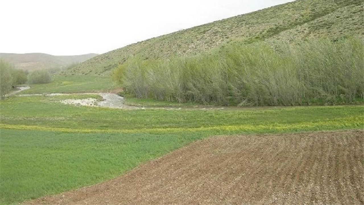 ملی اعلام کردن مزارع و باغات موجب بی انگیزگی کشاورزان