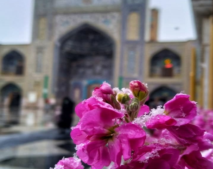 بارش رحمت الهی در حرم امام رضا(ع) 