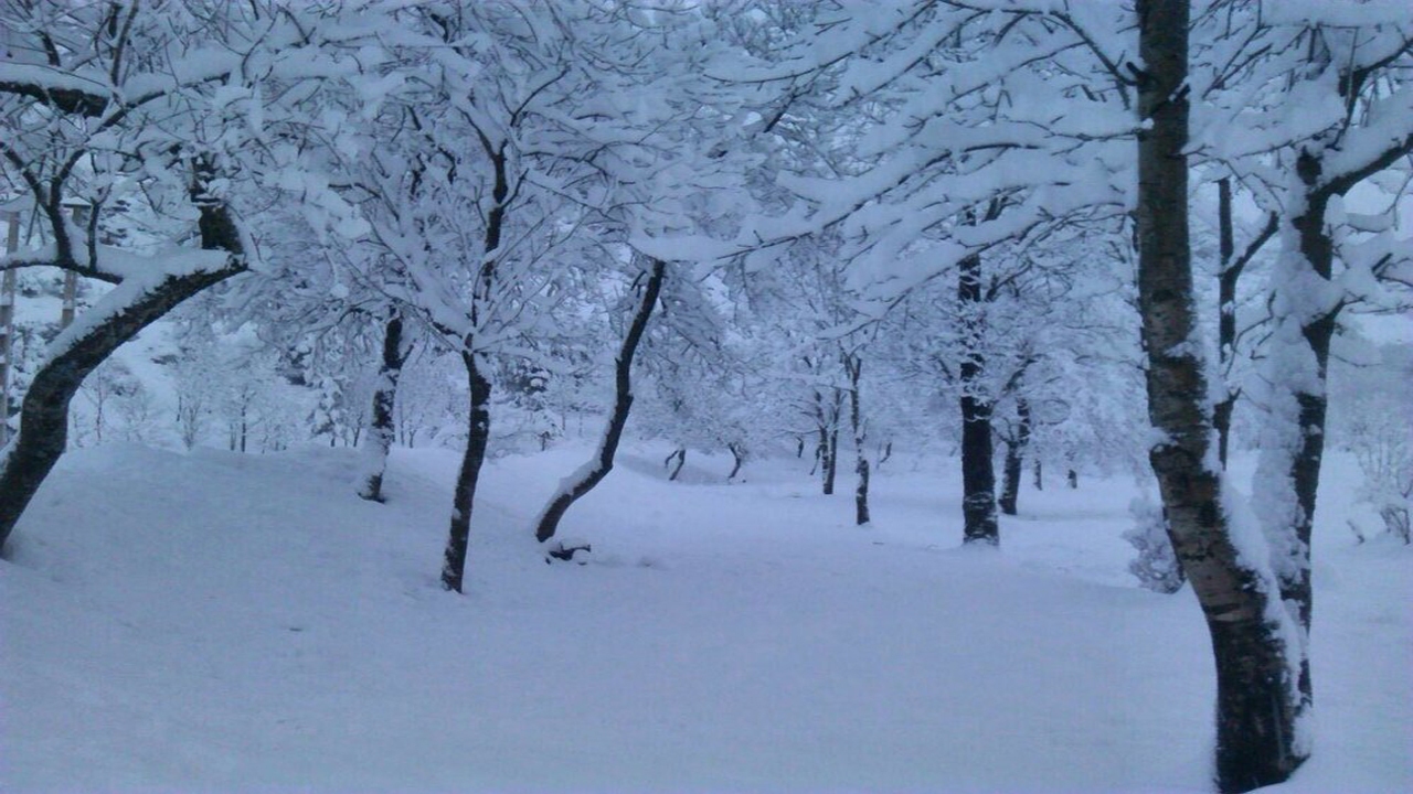 شانه تراش رکورددار برف در مازندران