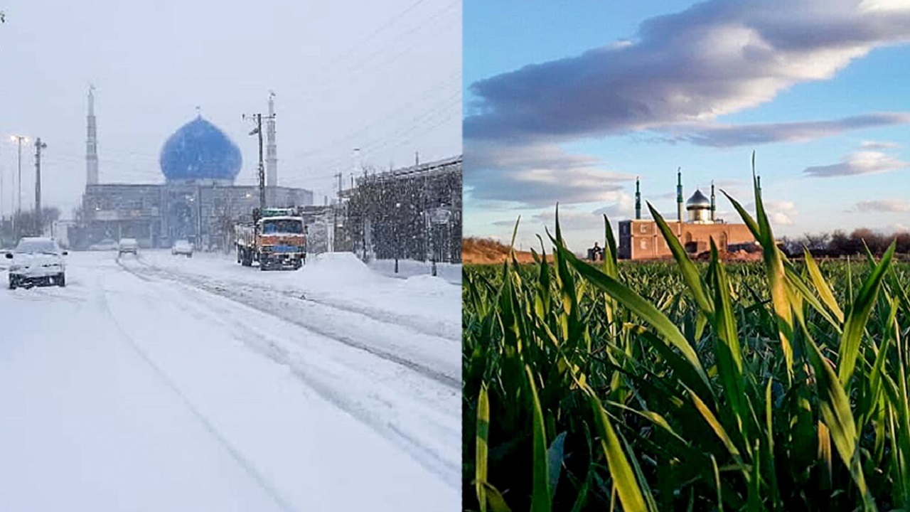 شکوفه‌ها در روستای طرزک زیر برف مدفون شدند+تصاویر