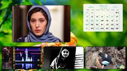 له کردن خودروی پراید توسط یک رزمی کار/ کتک زدن سارق قبل از اقدام به سرقت/ حمله تمساح به حیوانات وحشی