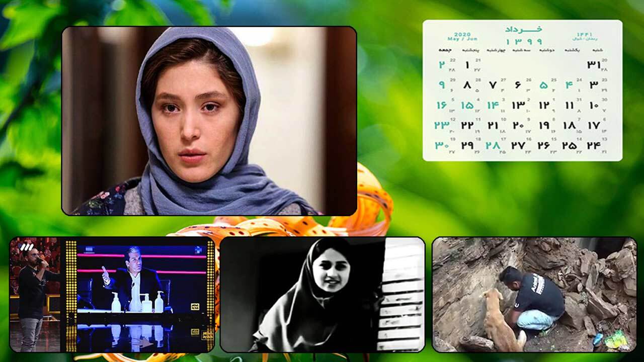 التماس سگ مادر برای نجات توله‌هایش/ فرشته حسینی: مردم افغانستان مرا به دلیل دختر بودن تحقیر می‌کردند/ ماجرای رومینا از زبان والدین و پسری که دلیل فرارش بود + فیلم