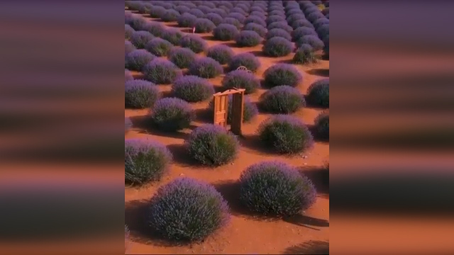 خواهرخوانده شهر همدان ایران را بشناسید + فیلم