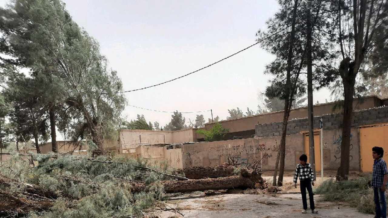 عملیات پاکسازی و ایمن‌سازی زاهدان بر اثر توفان در حال انجام است