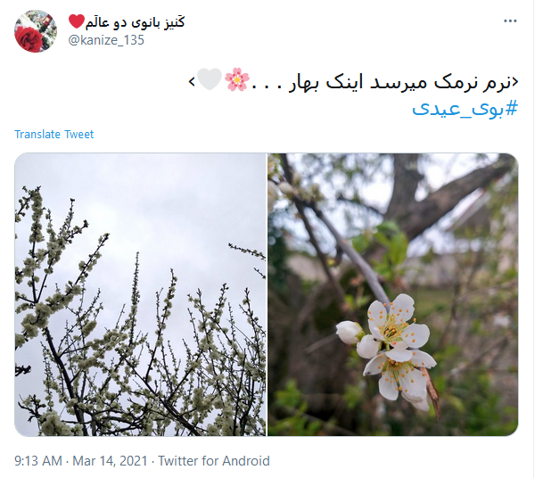 #بوی_عیدی/ استقبال کاربران از نوروز ۱۴۰۰