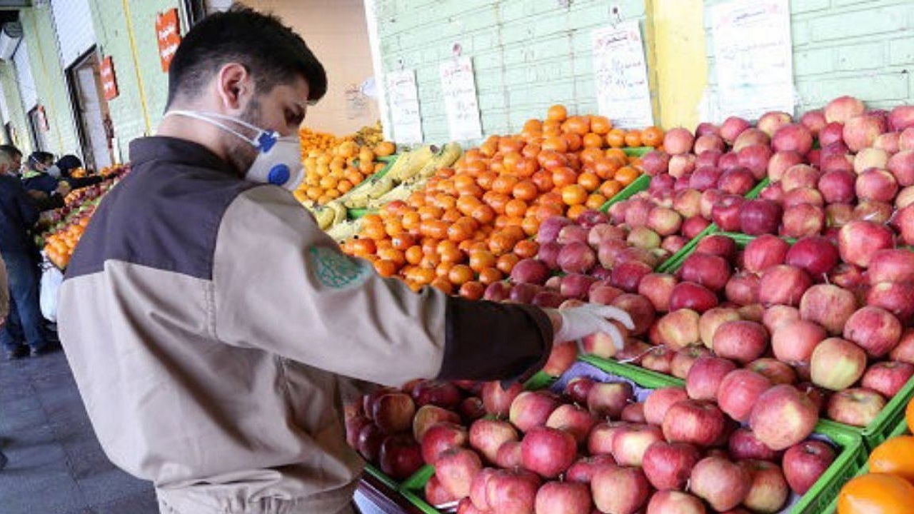 عرضه ۶۰۰ تن سیب و پرتقال در گیلان