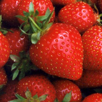 ۱۰ اصطلاح خوشمزه پزشکی + تصاویر