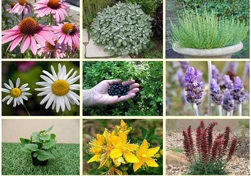 درسهایی که کرونا به ما آموخت درسهایی که کرونا به ما آموخت