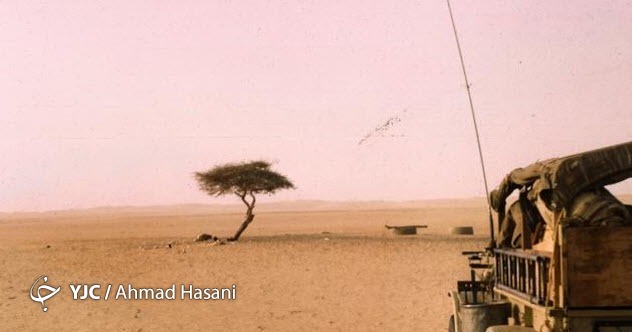 ۸ اتفاقی که ثابت می&zwnj;کند بیابان&zwnj;ها از تصور ما عجیب ترند