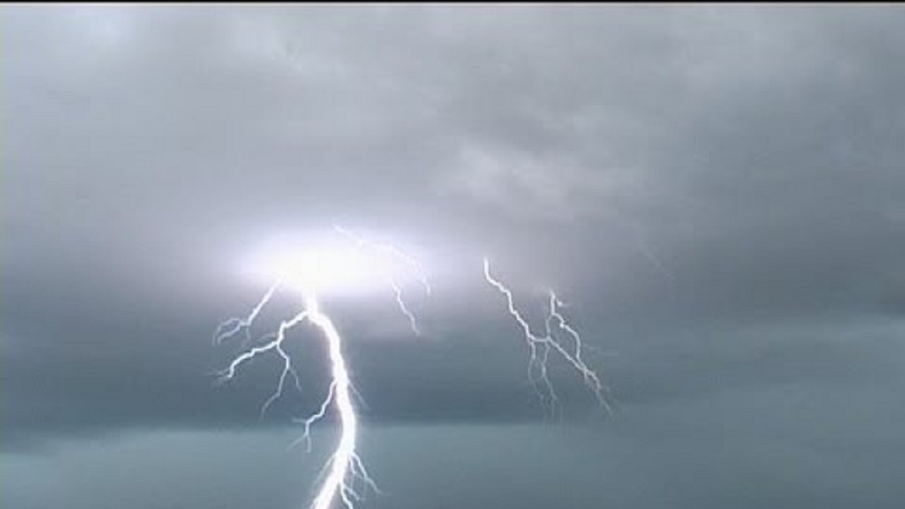 تصویری حیرت انگیز از لحظه برخورد صاعقه به درخت