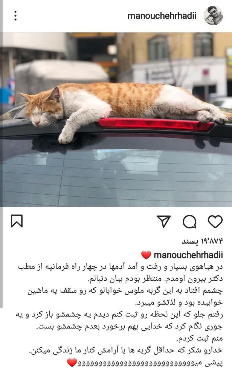 پست جدید منوچهر هادی از یک گربه
