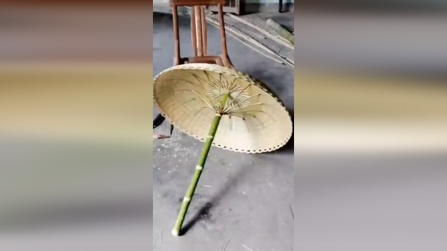 ساخت چتر از درخت بامبو + فیلم