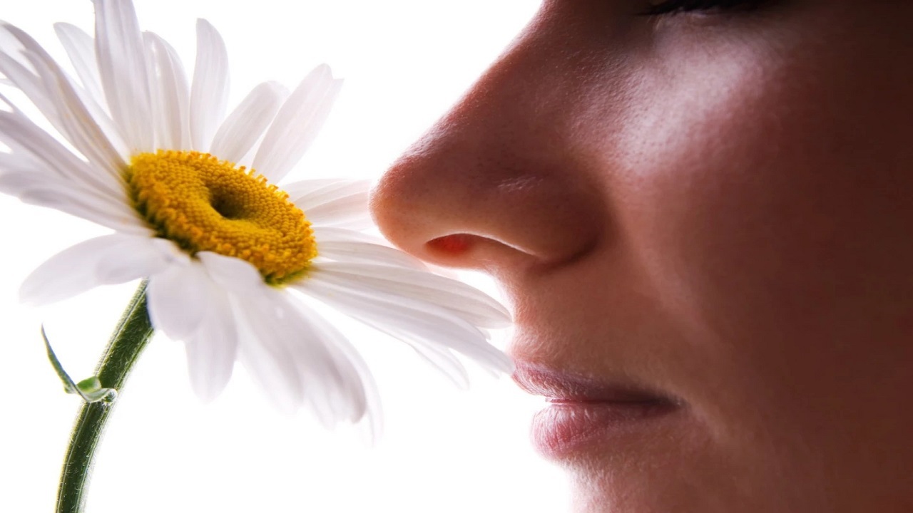چرا حس بویایی قوی‌تر از سایر حواس خاطرات را در ذهن تداعی می‌کند؟
