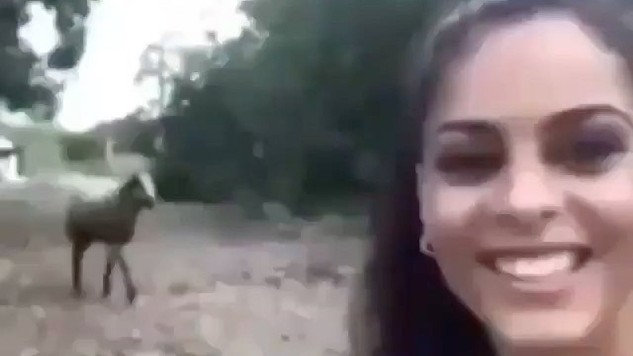 عاقبت گرفتن عکس سلفی با بز!