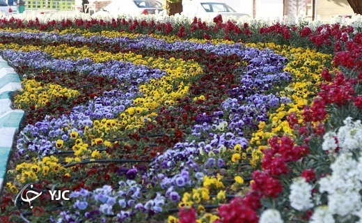 گل آرایی خیابان ها و فضای عمومی شهر یزد در آستانه نوروز