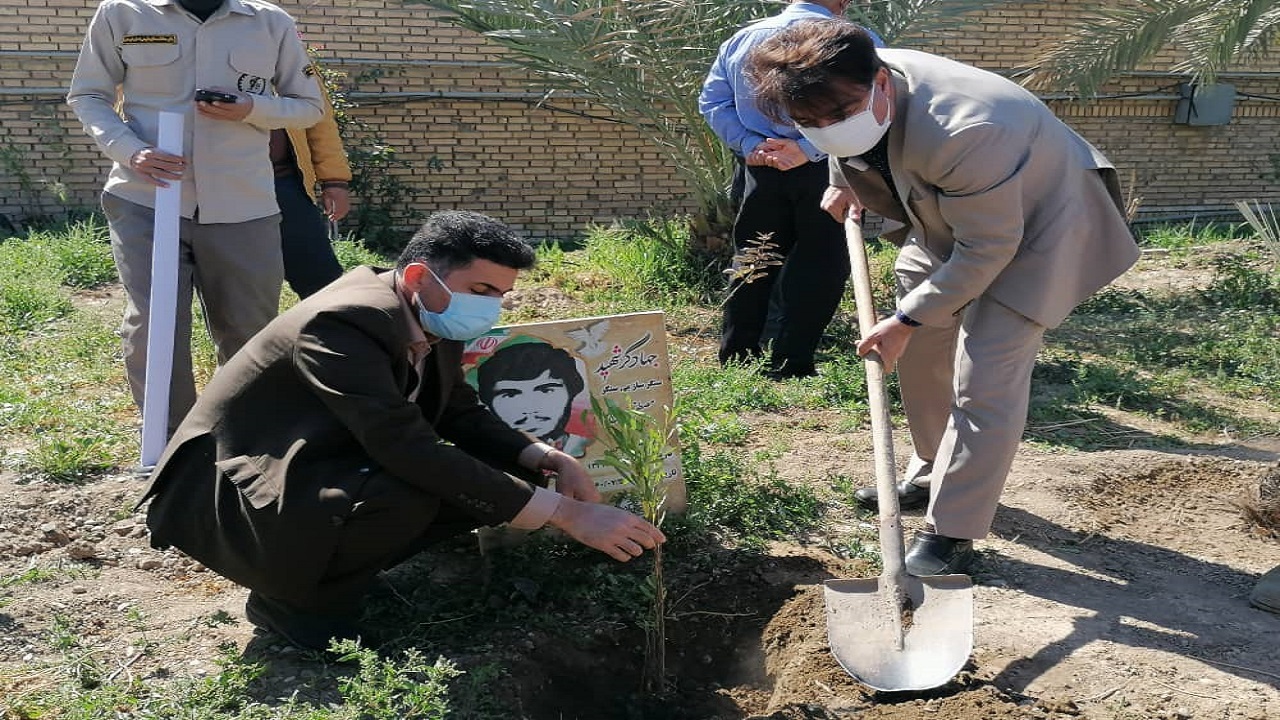 توزیع ۱۸ هزار نهال در آبادان