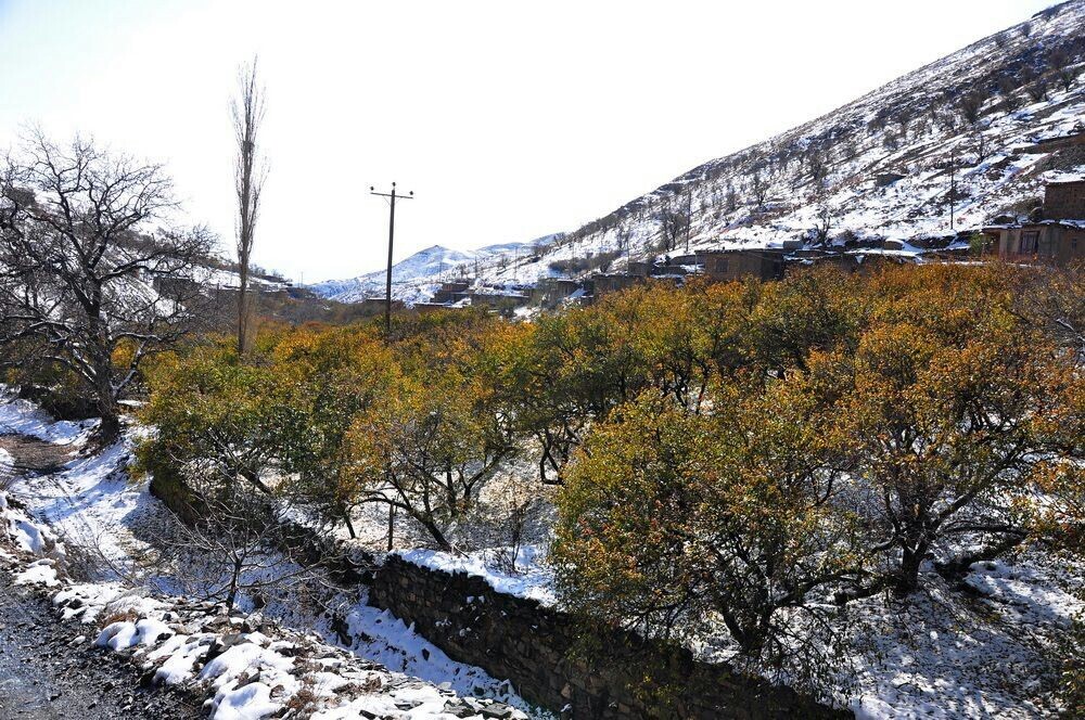 دهکده جواهر را بیشتر بشناسید
