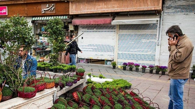 سبزه عید سبزه عید