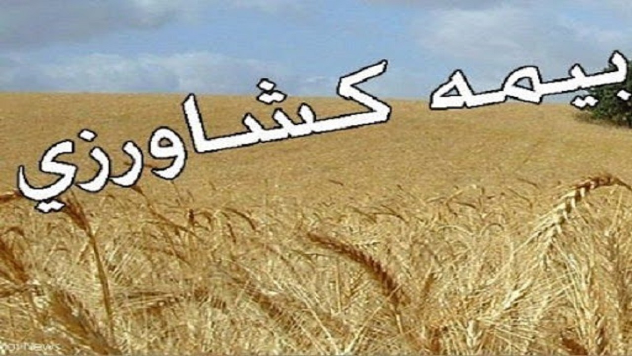 صدور ۱۵۰ هزار و ۵۲۴ فقره بیمه‌نامه محصولات کشاورزی