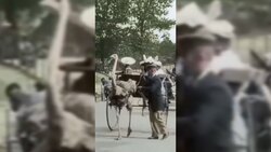 مکان مخفی پشت پریز برق برای مخفی کردن پول + فیلم