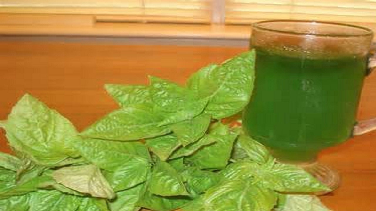 آموزش آشپزی؛ از فوت و فن انواع سبزی پلو با ماهی و اسپاگتی لیمو خوشمزه و خاص تا بستنی عربی + تصاویر
